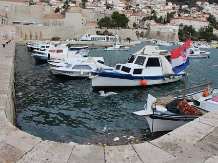 Opis slike