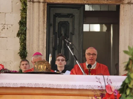Opis slike