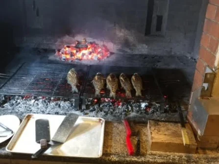Opis slike