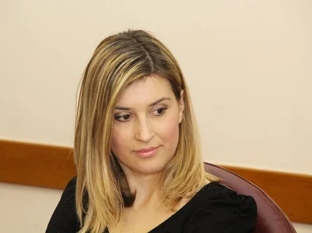 Opis slike