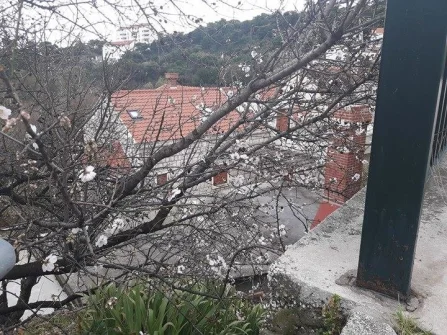 Opis slike