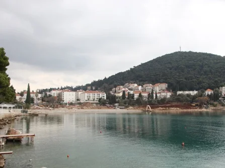 Opis slike
