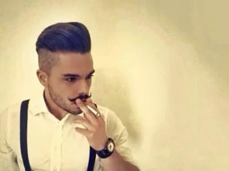 Opis slike