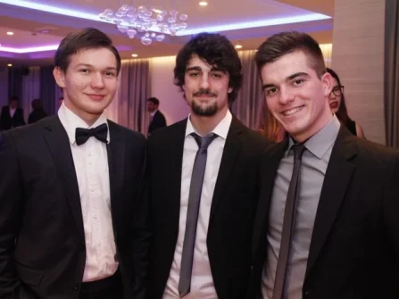 Opis slike
