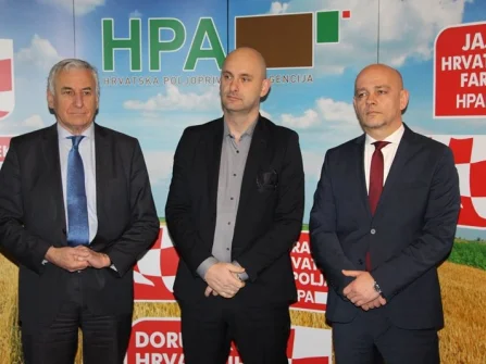 Opis slike