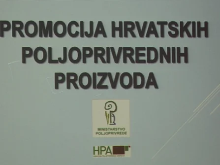 Opis slike