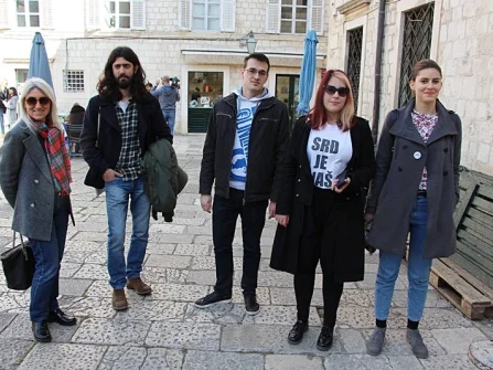 Opis slike