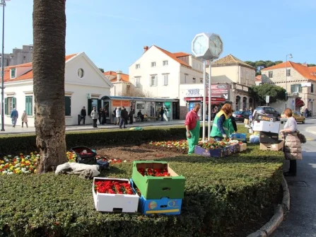 Opis slike