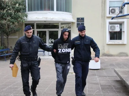 Opis slike