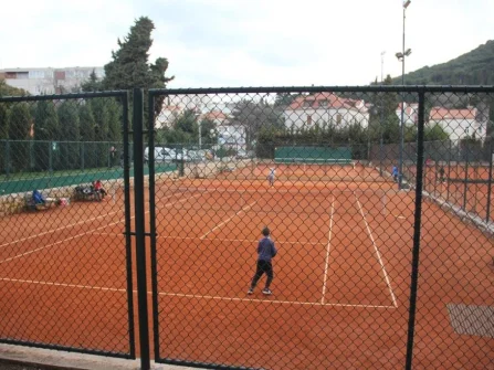 Opis slike
