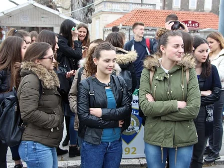 Opis slike