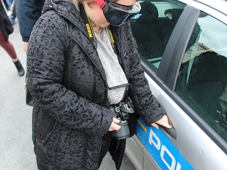 Opis slike