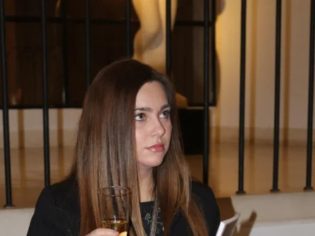 Opis slike