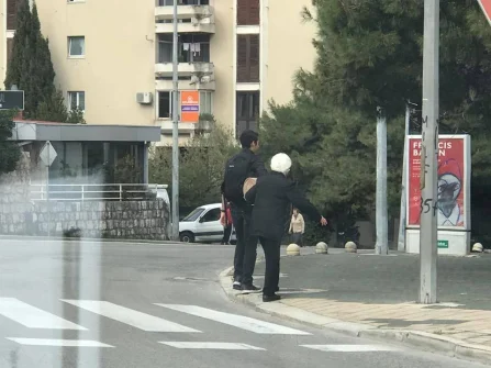 Opis slike