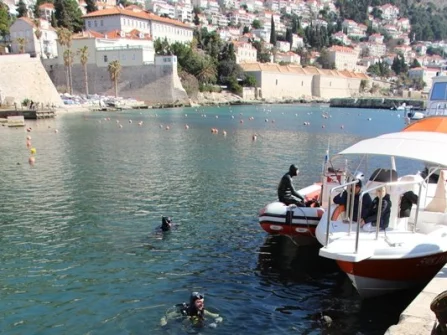 Opis slike