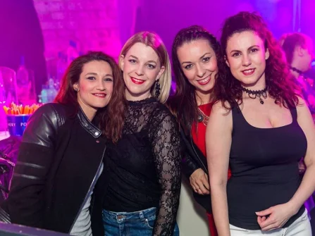 Opis slike