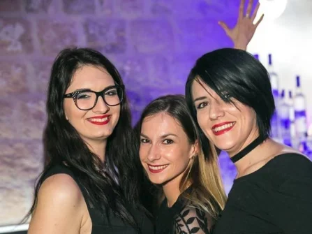 Opis slike