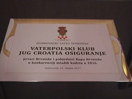 Opis slike
