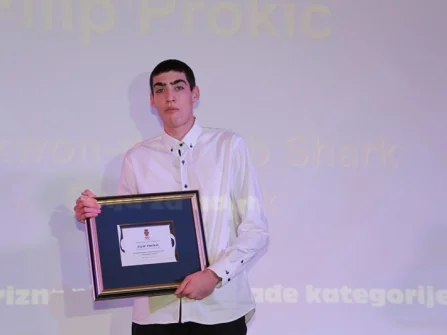 Opis slike