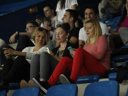 Opis slike