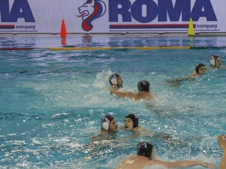 Opis slike