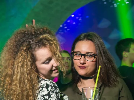 Opis slike