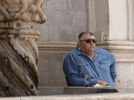 Opis slike