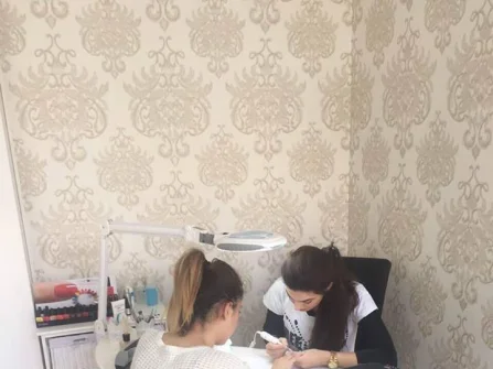 Opis slike