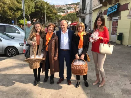 Opis slike