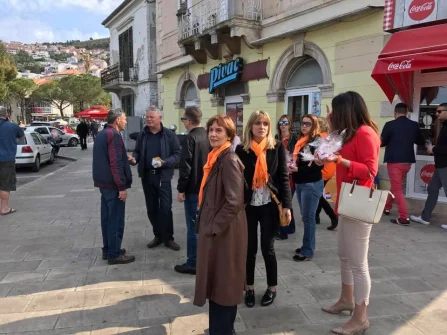 Opis slike