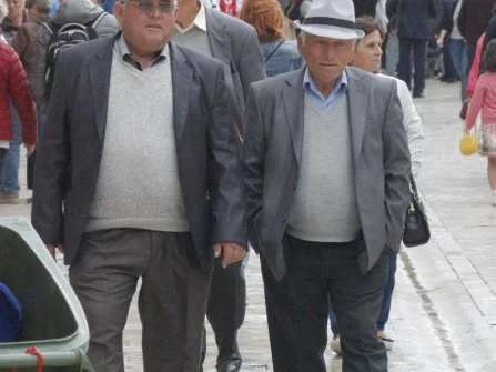 Opis slike