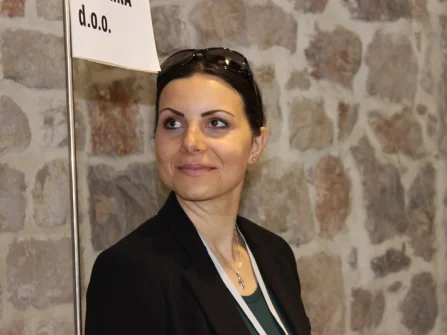 Opis slike