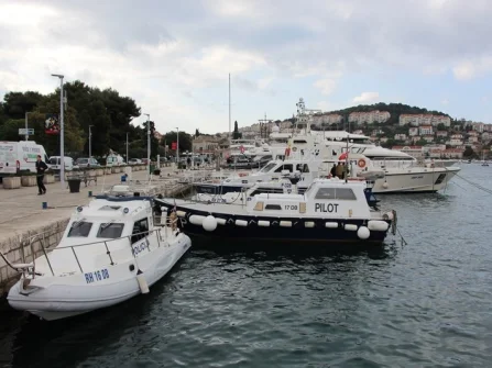 Opis slike