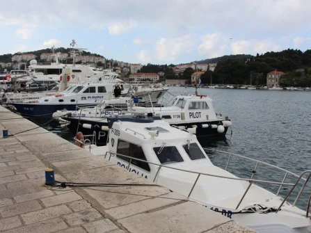 Opis slike