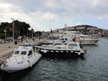 Opis slike