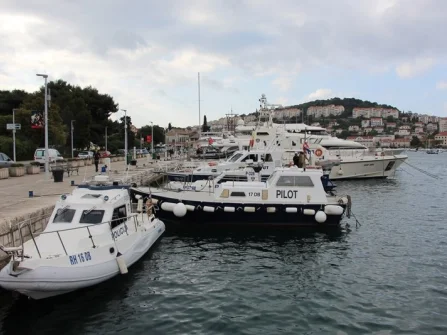 Opis slike