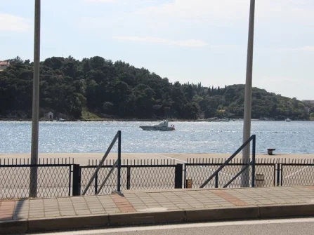 Opis slike