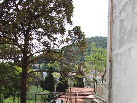 Opis slike