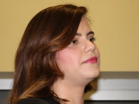 Opis slike