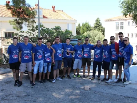 Opis slike