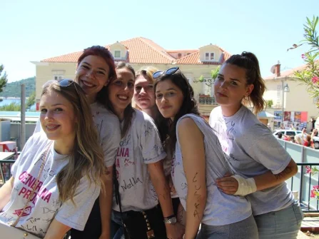 Opis slike