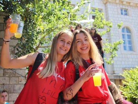 Opis slike