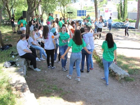 Opis slike