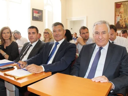 Opis slike
