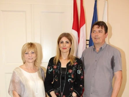 Opis slike