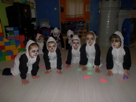 Opis slike