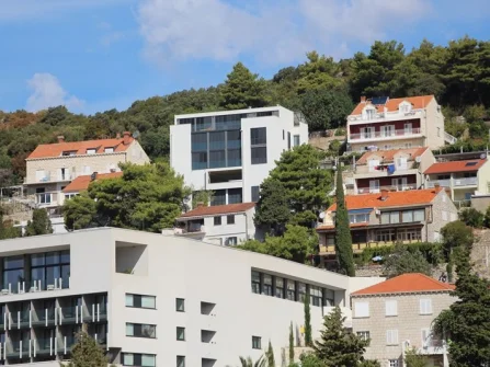 Opis slike