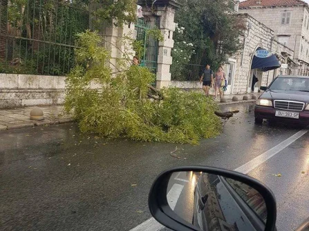 Opis slike