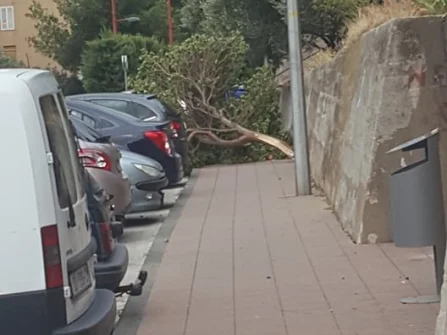 Opis slike