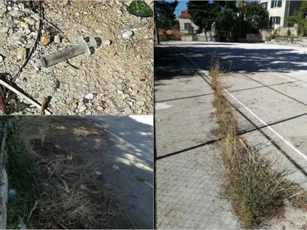 Opis slike